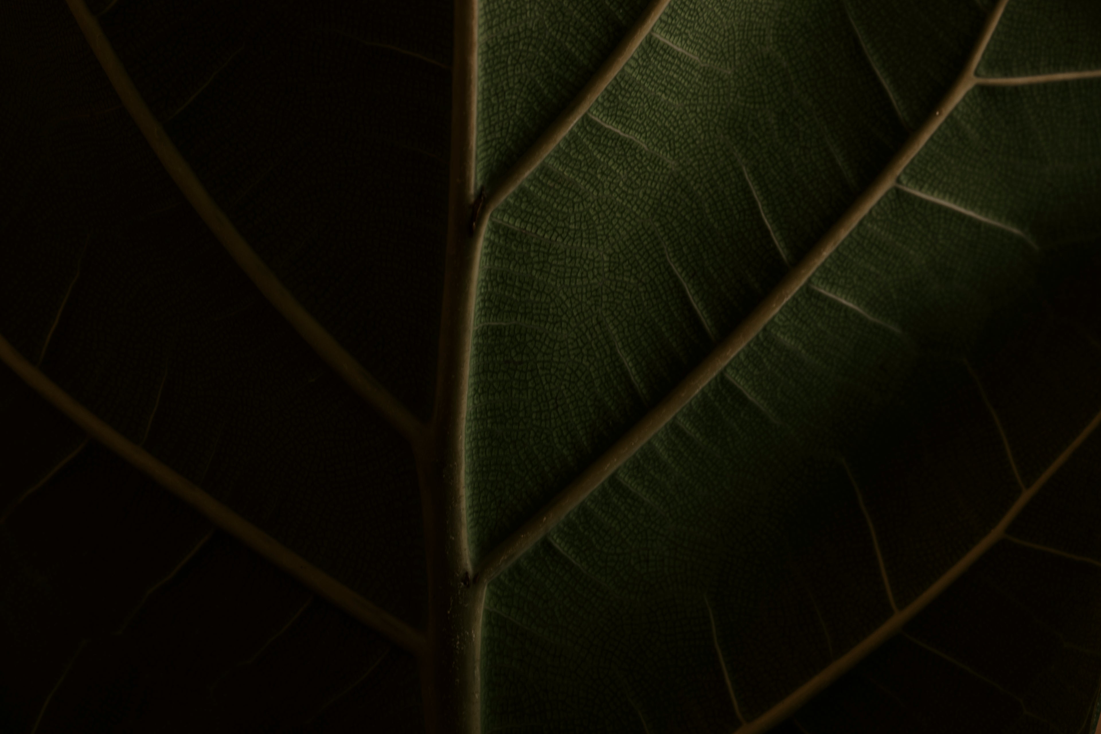 slider image slider_item_WAJ3P7